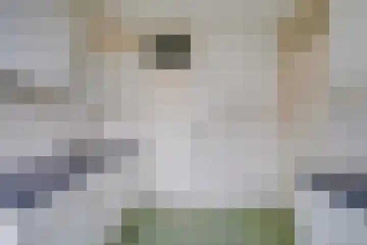 Rubicondreef 116 Utrecht thumbnail 15