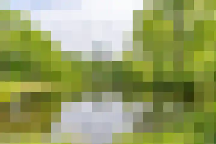 Rubicondreef 116 Utrecht thumbnail 24