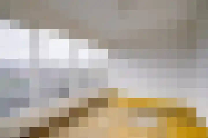 Rubicondreef 116 Utrecht thumbnail 7