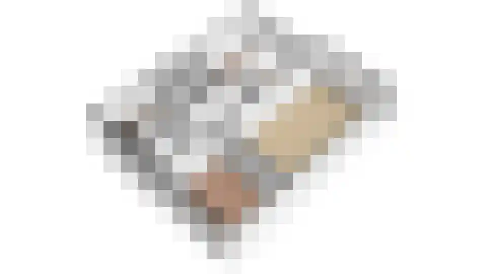 Rubicondreef 120 Utrecht thumbnail 34