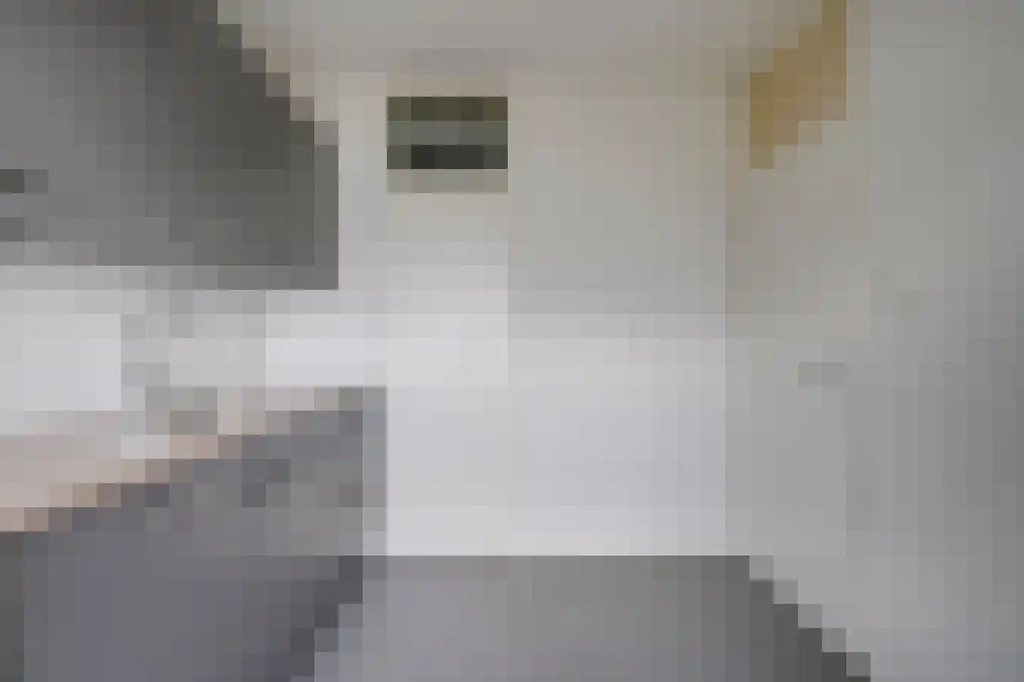 Rubicondreef 120 Utrecht thumbnail 6