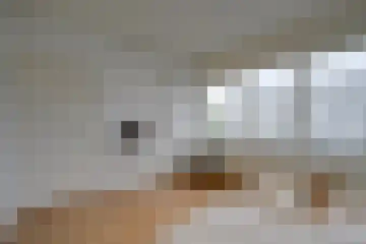 Rubicondreef 138 Utrecht thumbnail 18