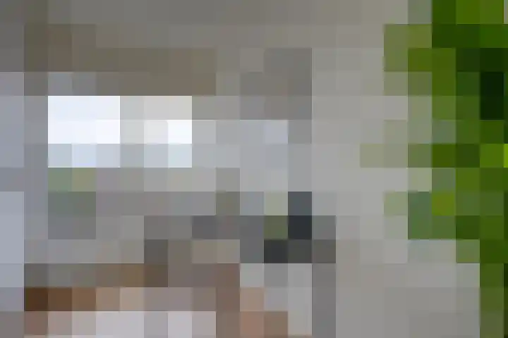 Rubicondreef 138 Utrecht thumbnail 20