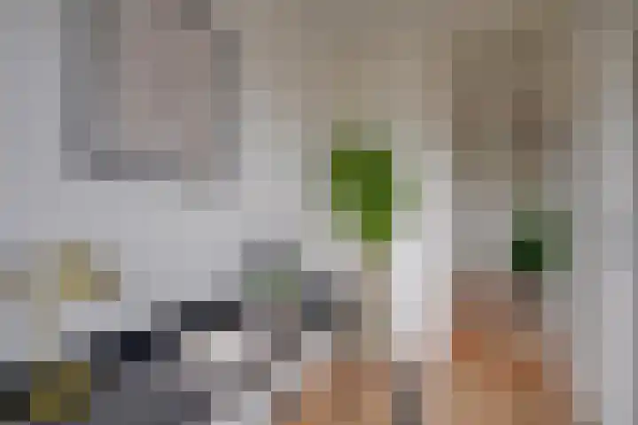 Rubicondreef 138 Utrecht thumbnail 21