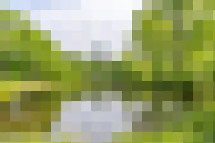 Rubicondreef 138 Utrecht thumbnail 33