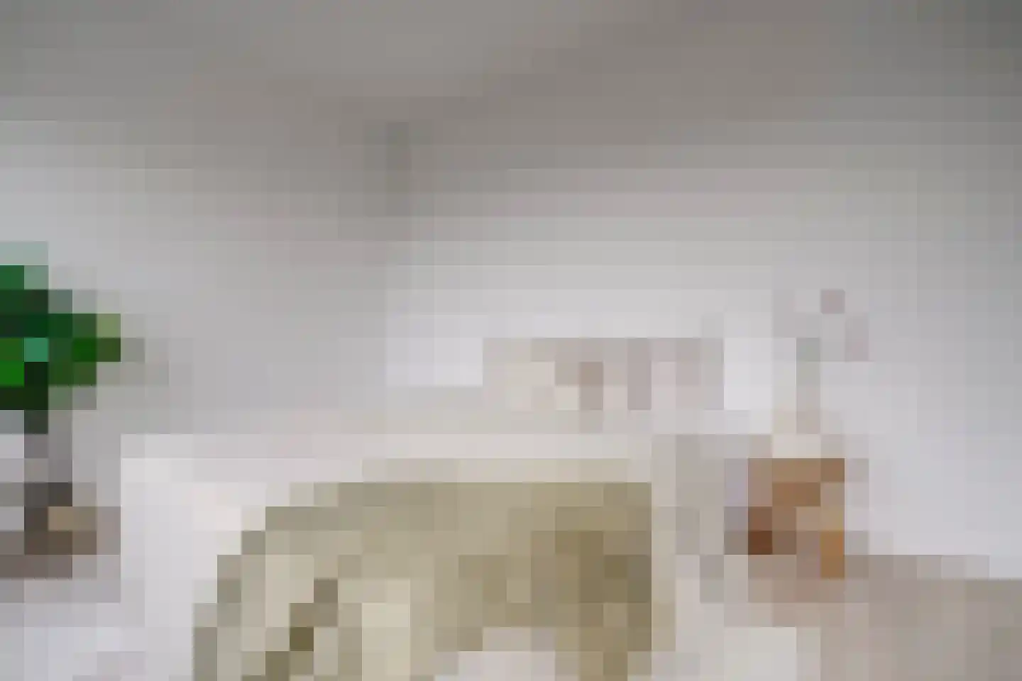 Rubicondreef 148 Utrecht thumbnail 19