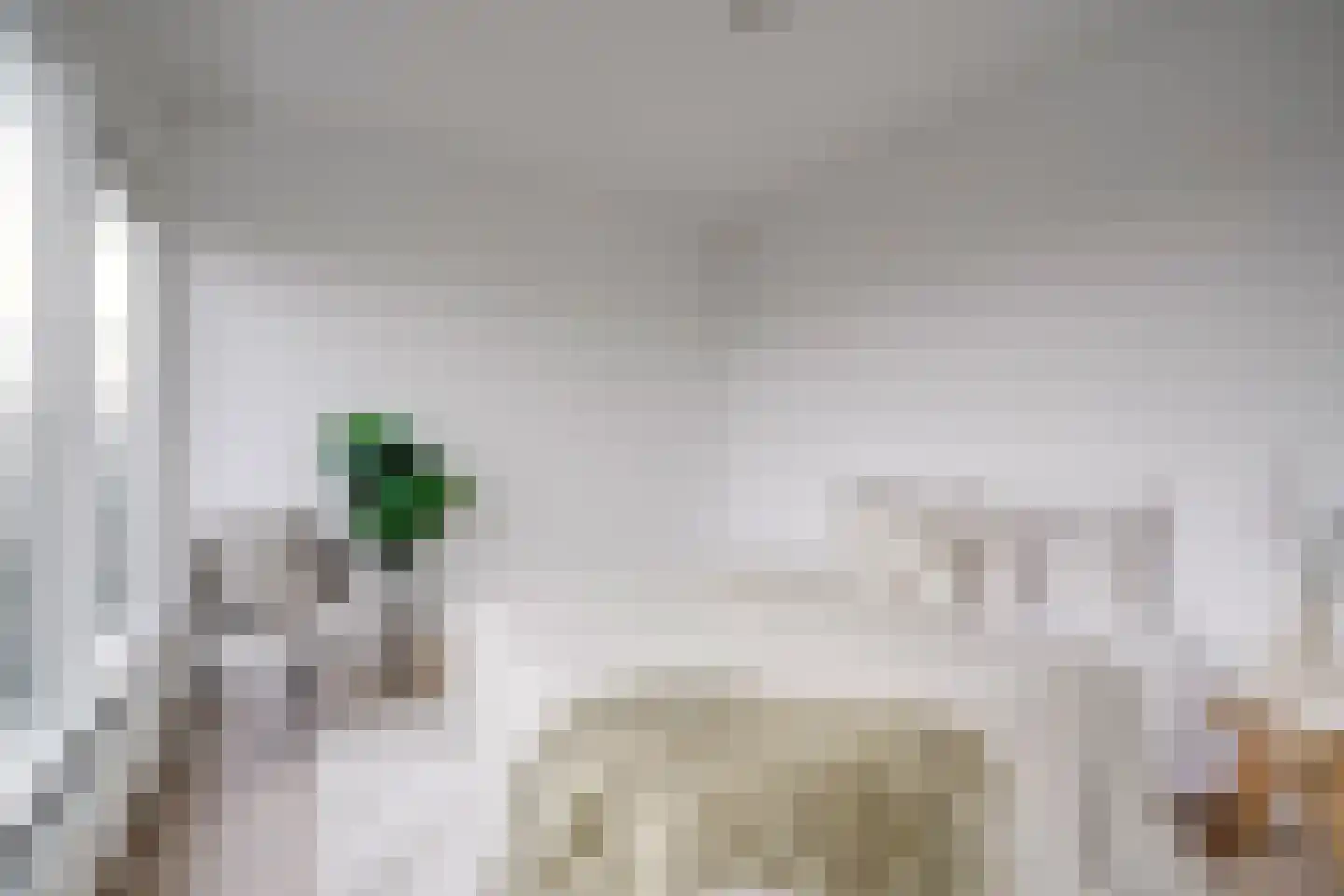 Rubicondreef 148 Utrecht thumbnail 21