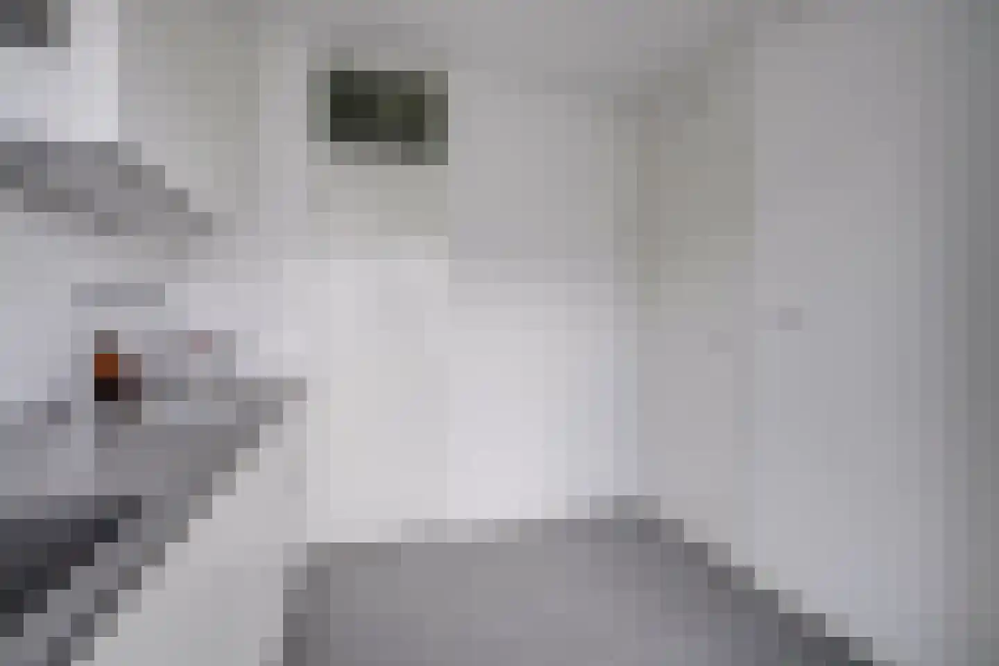 Rubicondreef 148 Utrecht thumbnail 6