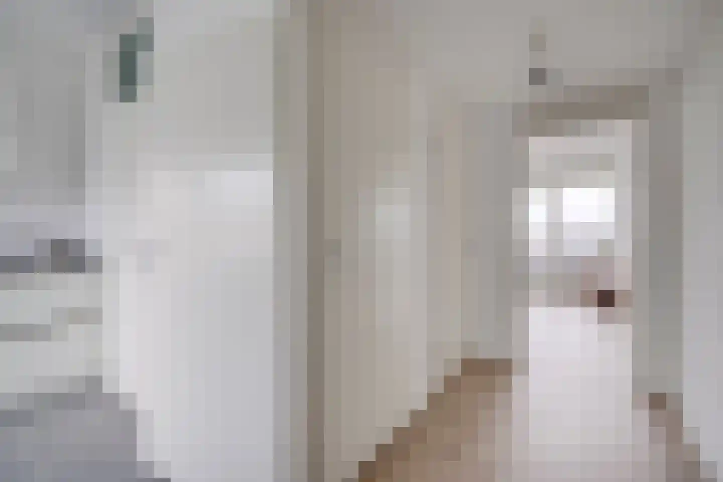 Rubicondreef 148 Utrecht thumbnail 8