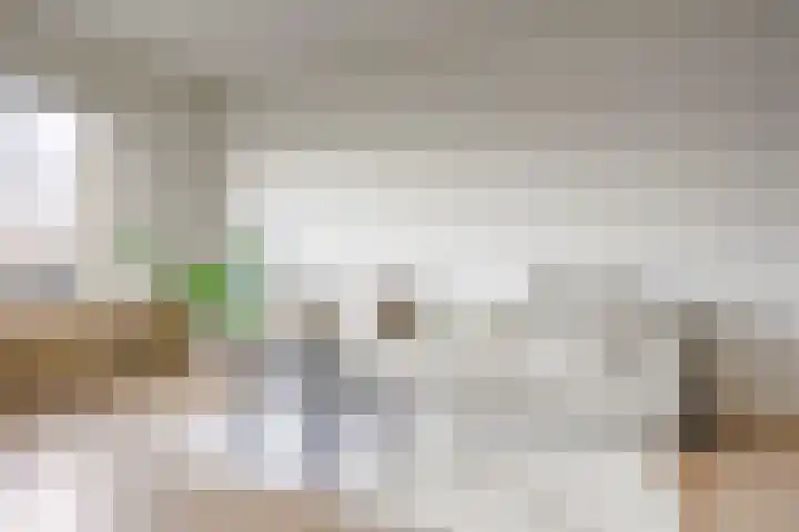 Rubicondreef 160 Utrecht thumbnail 10