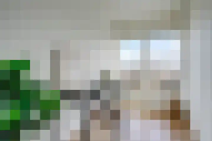 Rubicondreef 160 Utrecht thumbnail 19