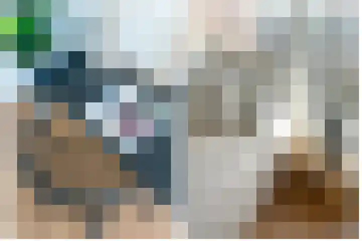Rubicondreef 160 Utrecht thumbnail 21