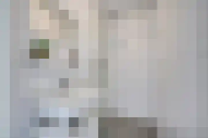 Rubicondreef 160 Utrecht thumbnail 24