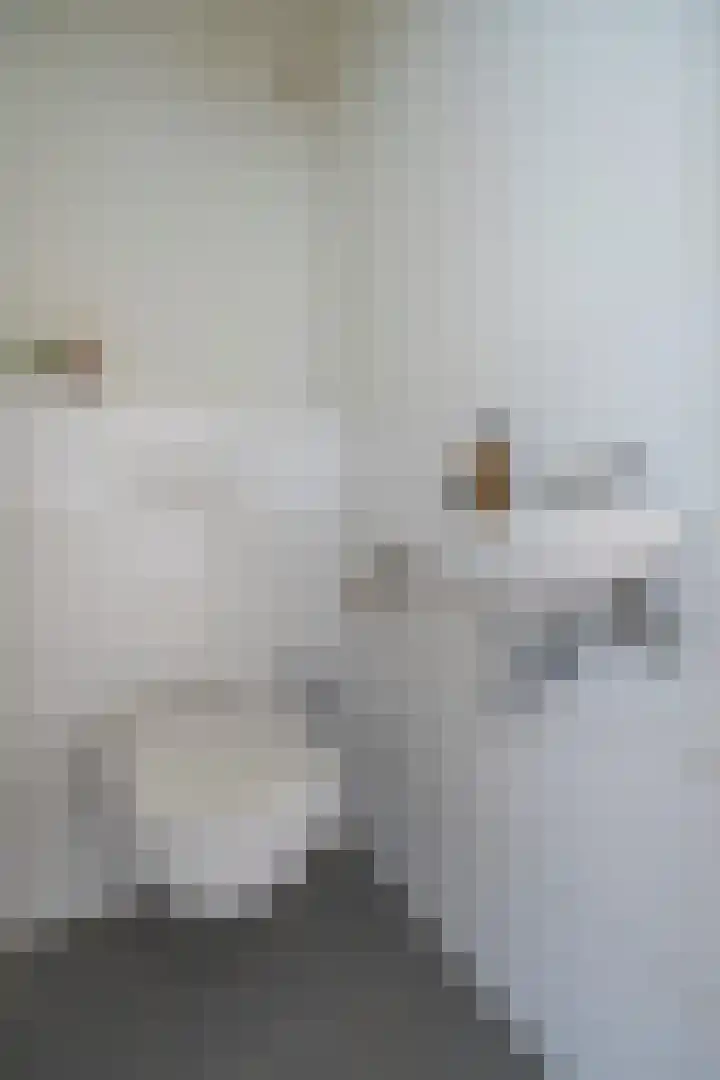 Rubicondreef 160 Utrecht thumbnail 25