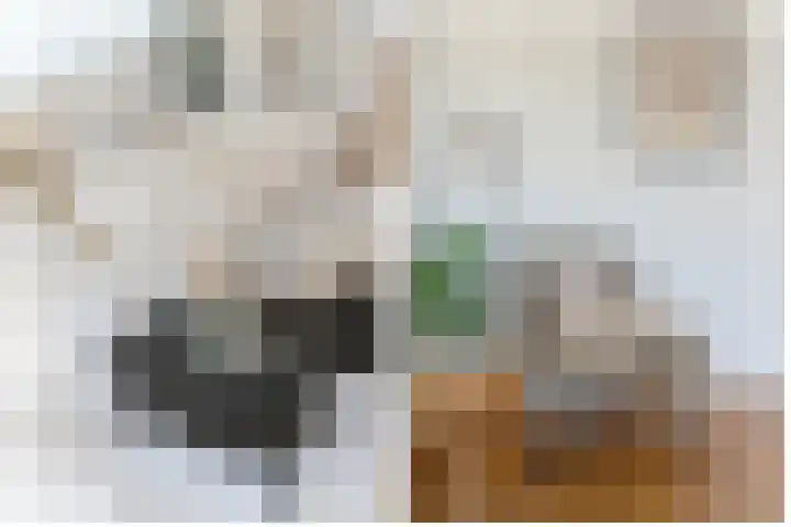 Rubicondreef 160 Utrecht thumbnail 9