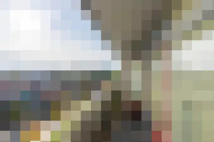 Rubicondreef 168 Utrecht thumbnail 13