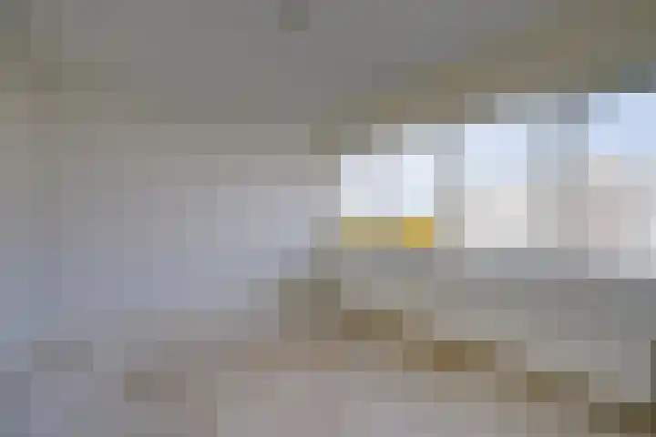 Rubicondreef 168 Utrecht thumbnail 18