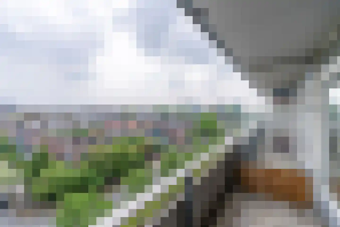 Rubicondreef 174 Utrecht thumbnail 11