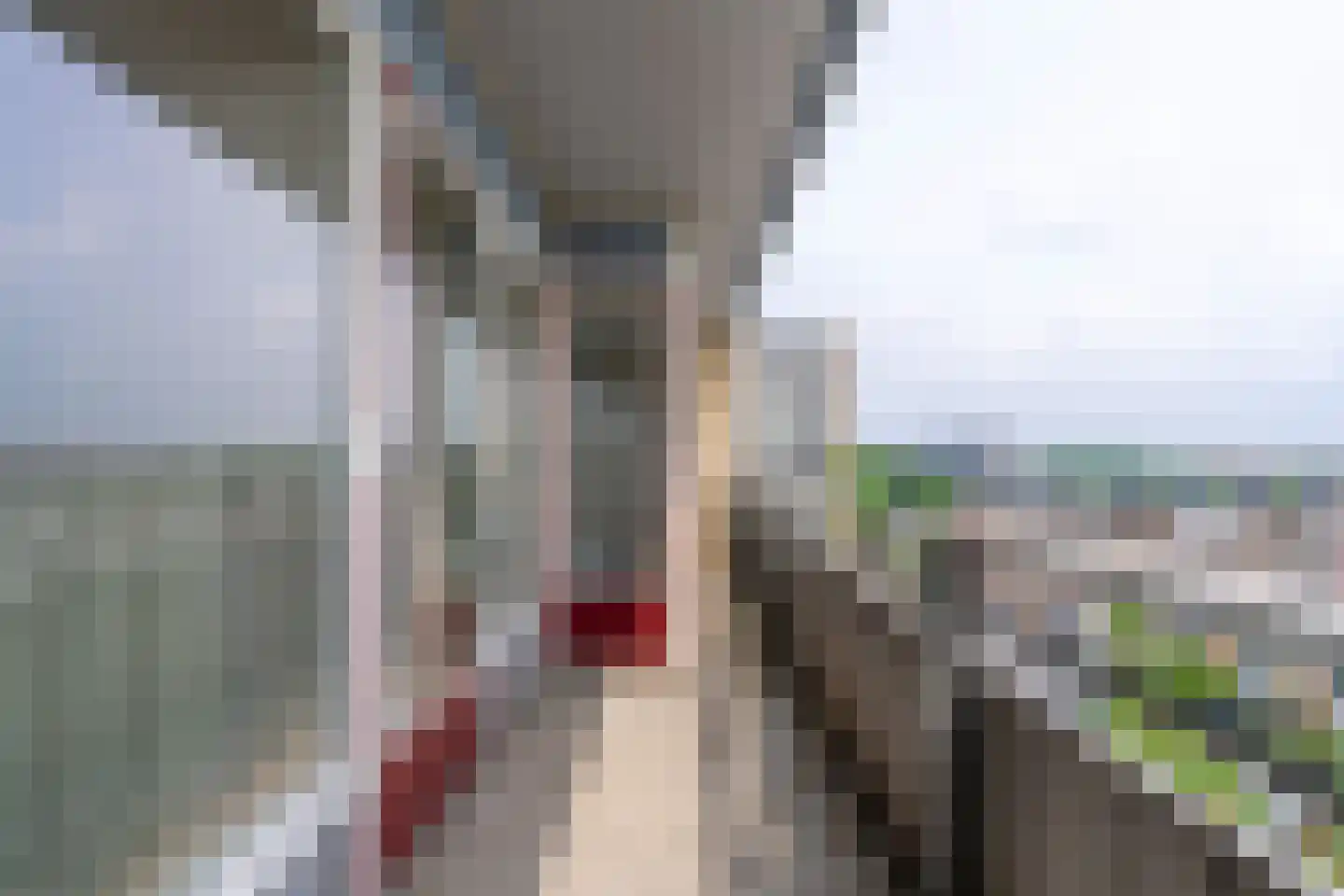 Rubicondreef 174 Utrecht thumbnail 13