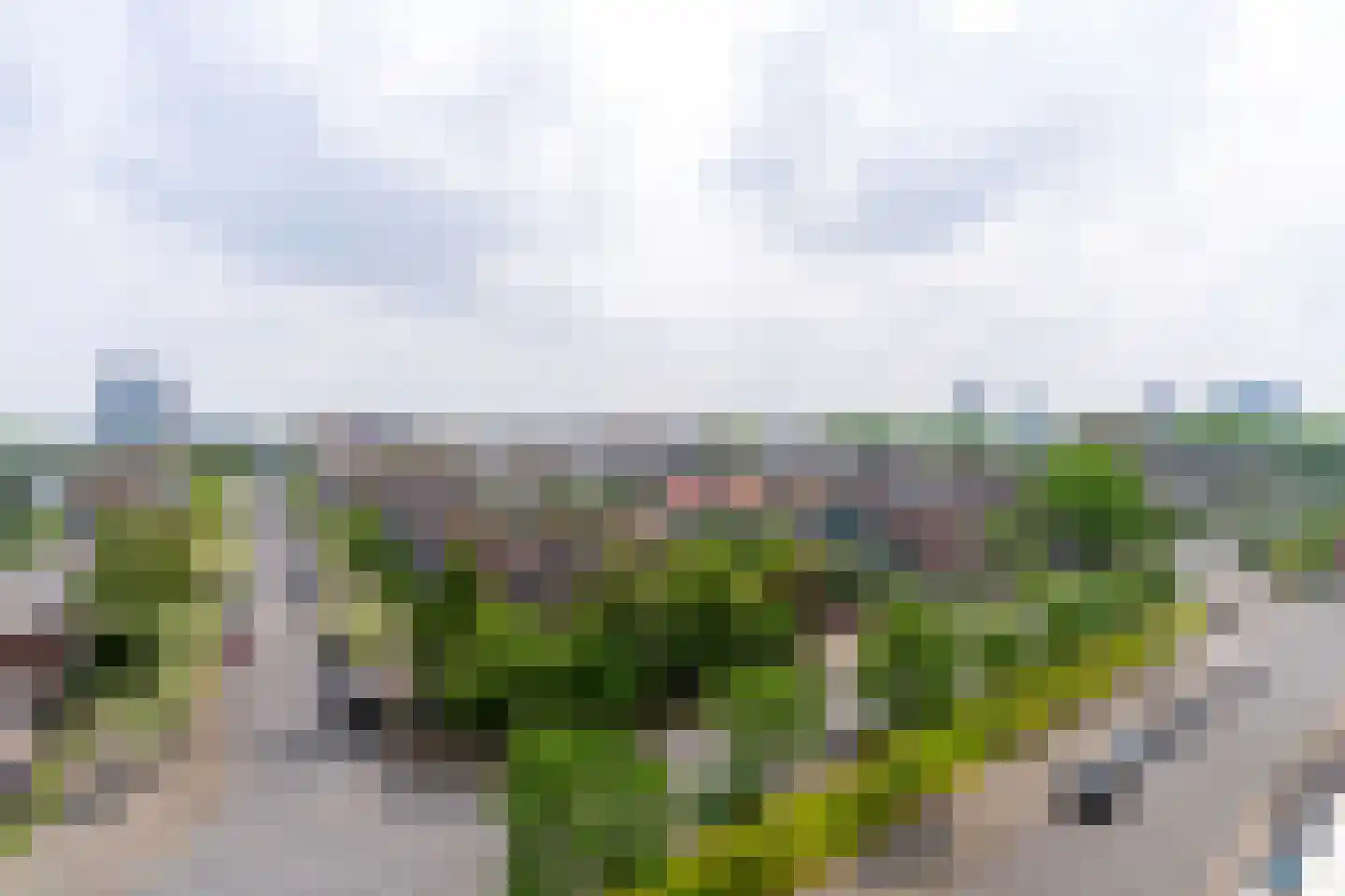 Rubicondreef 174 Utrecht thumbnail 15