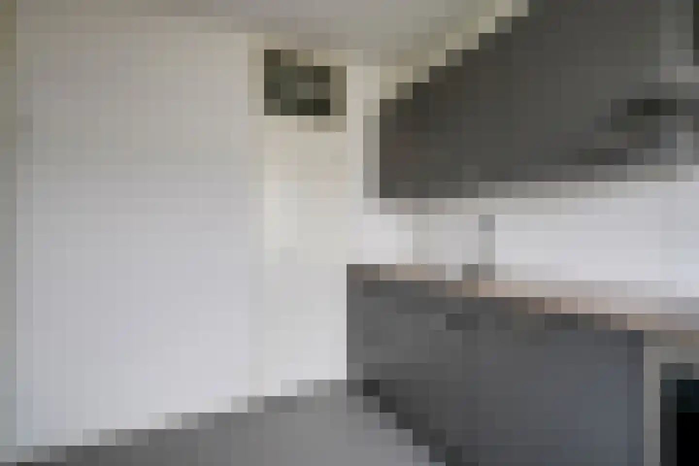 Rubicondreef 174 Utrecht thumbnail 21