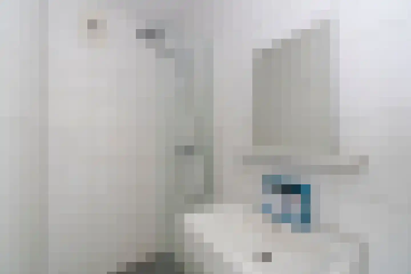 Rubicondreef 174 Utrecht thumbnail 26