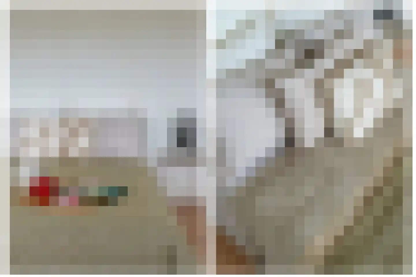 Rubicondreef 186 Utrecht thumbnail 19