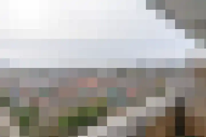 Rubicondreef 190 Utrecht thumbnail 13