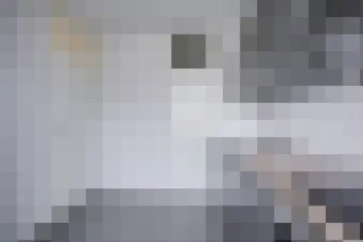 Rubicondreef 190 Utrecht thumbnail 17