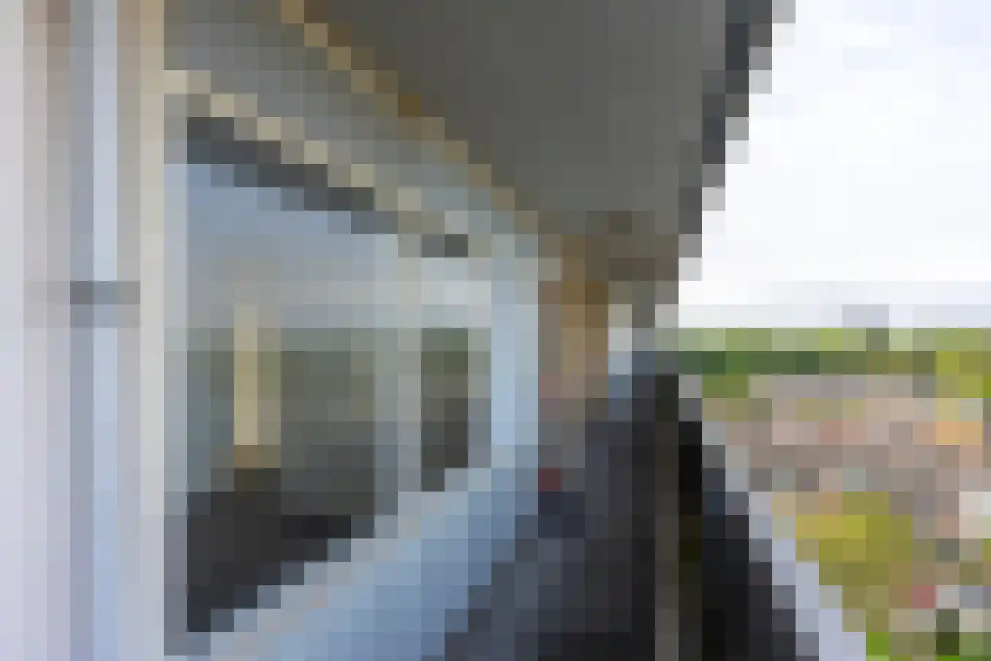 Rubicondreef 196 Utrecht thumbnail 20