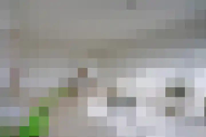 Rubicondreef 202 Utrecht thumbnail 11