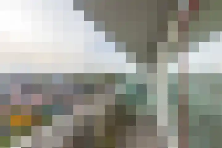 Rubicondreef 202 Utrecht thumbnail 12