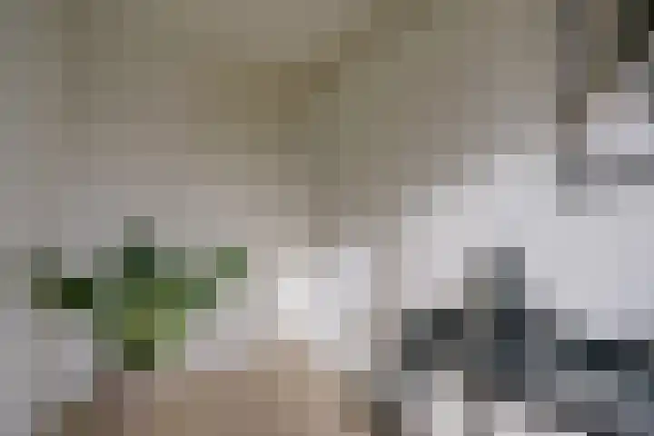 Rubicondreef 202 Utrecht thumbnail 22
