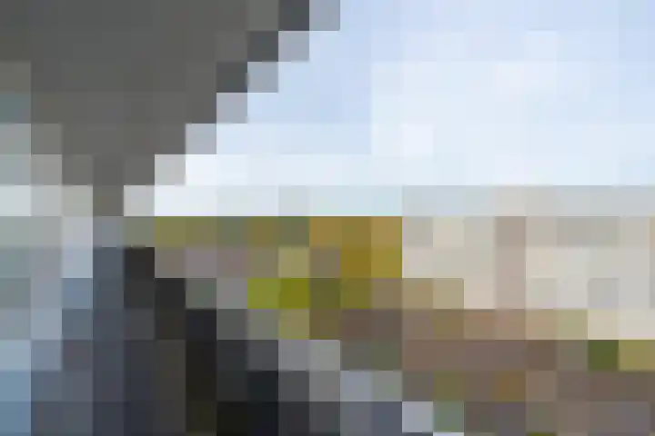Rubicondreef 202 Utrecht thumbnail 35