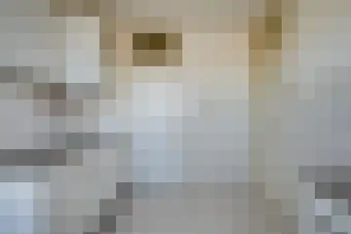 Rubicondreef 212 Utrecht thumbnail 6