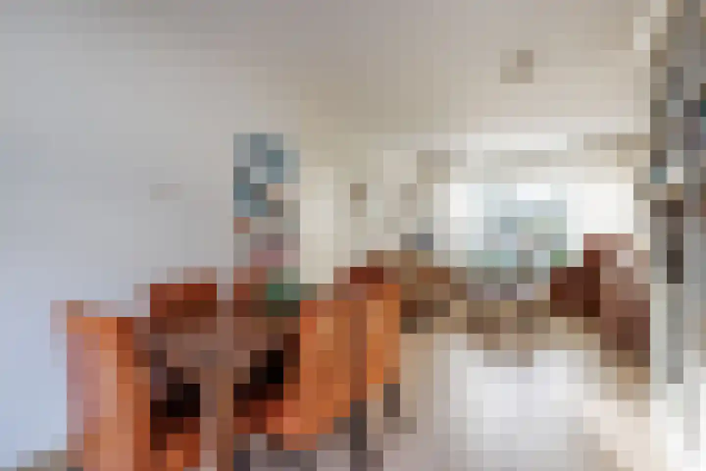 Rubicondreef 40 Utrecht thumbnail 11