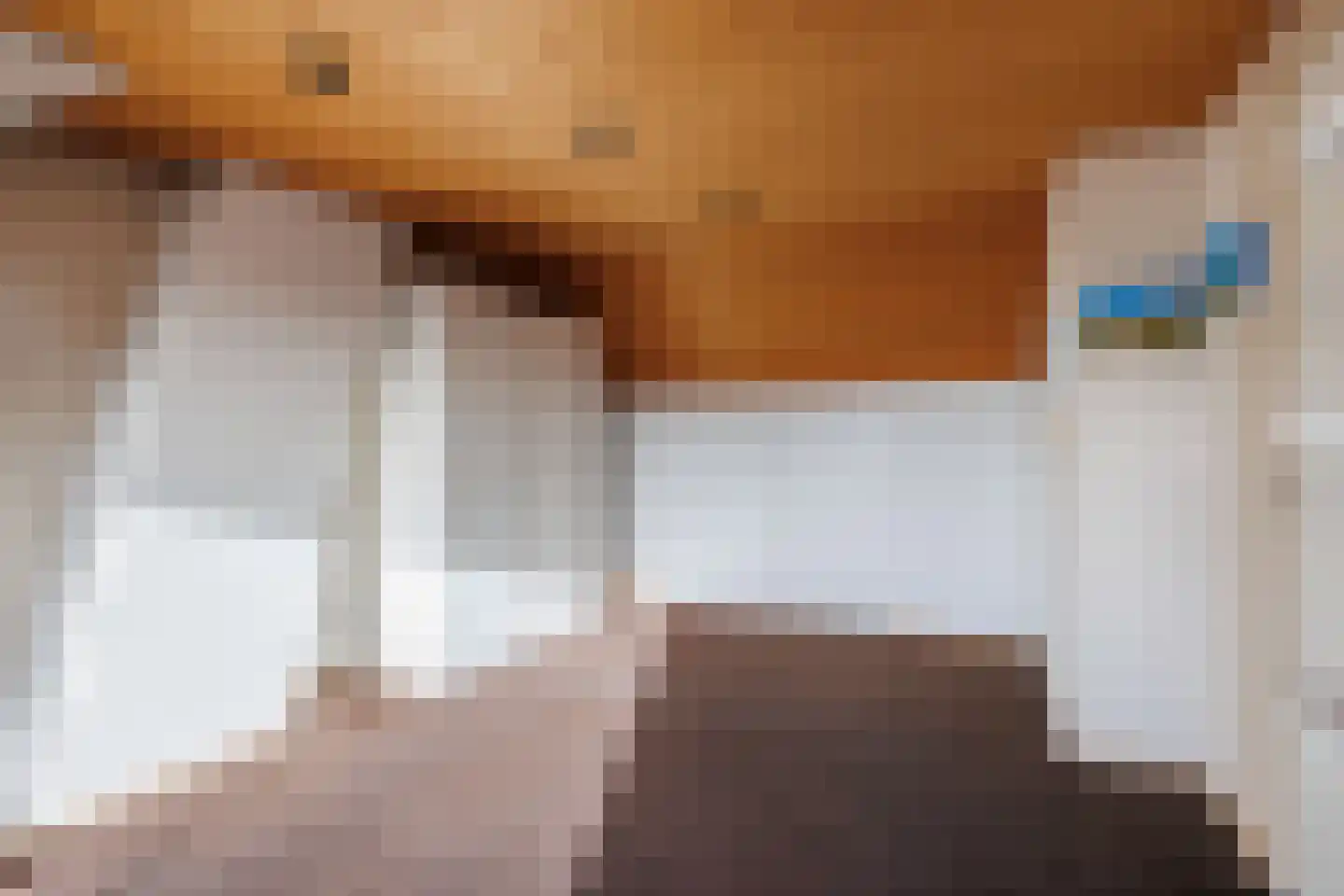 Rubicondreef 40 Utrecht thumbnail 24
