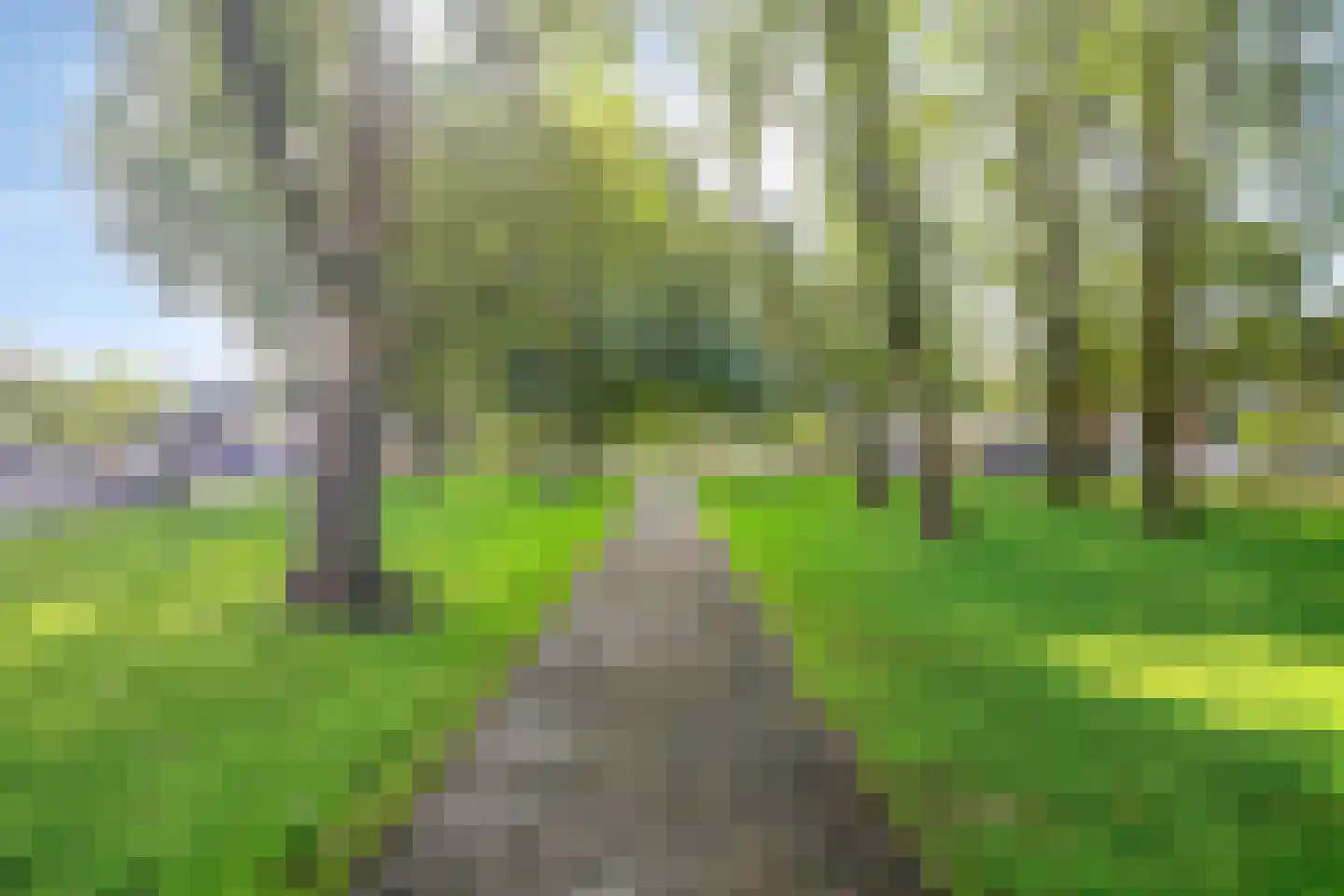 Rubicondreef 62 Utrecht thumbnail 33