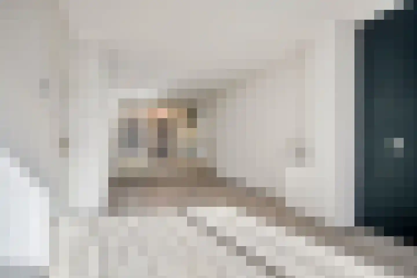 Rubicondreef 62 Utrecht thumbnail 6