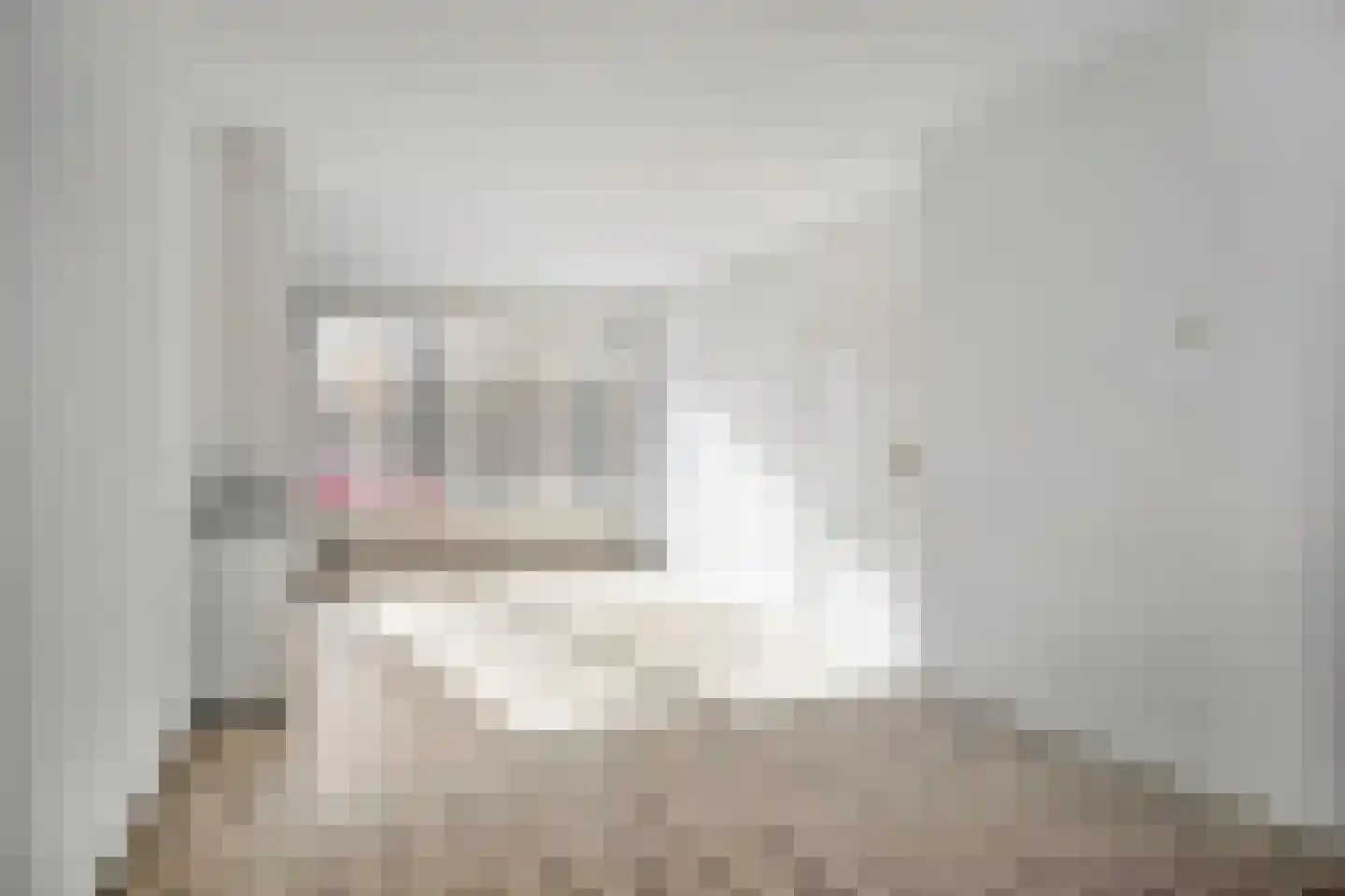 Rubicondreef 62 Utrecht thumbnail 9