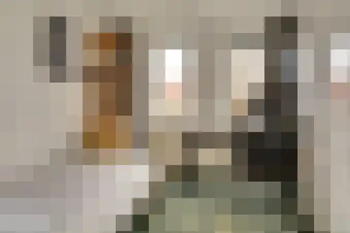 Rubinettestraat 8 Nijmegen thumbnail 18