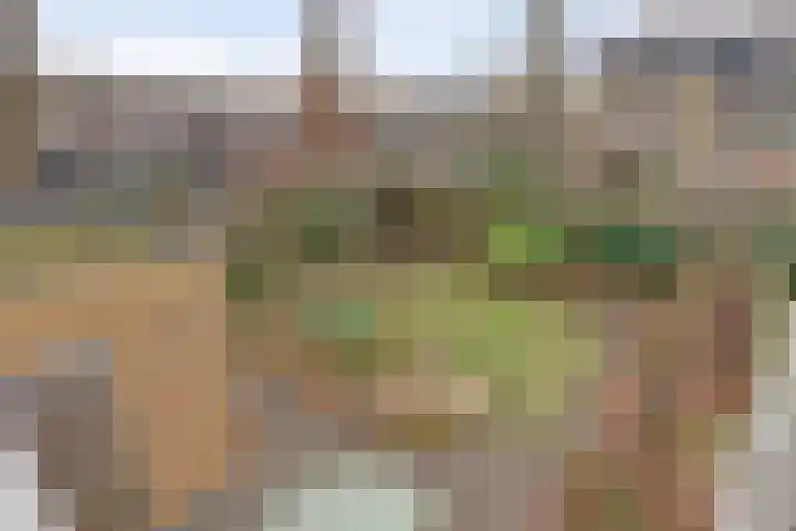 Rubinettestraat 8 Nijmegen thumbnail 26