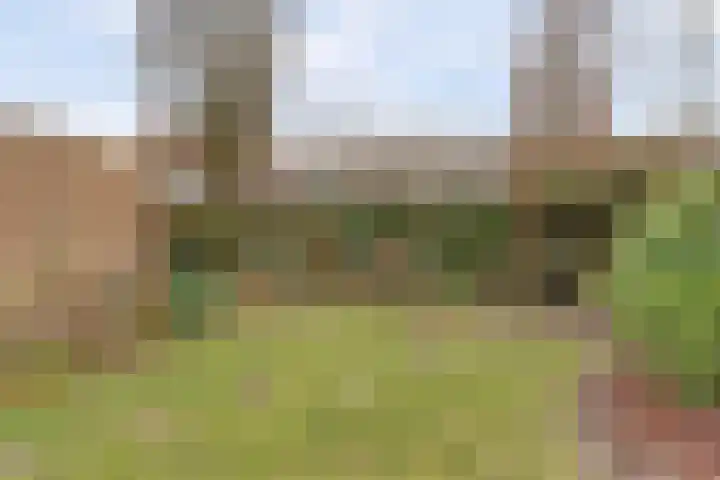 Rubinettestraat 8 Nijmegen thumbnail 35