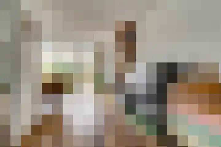 Rubinettestraat 8 Nijmegen thumbnail 9