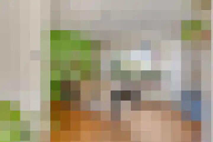 Rubinsteinlaan 33 Eindhoven thumbnail 12
