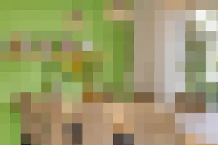 Rubinsteinlaan 33 Eindhoven thumbnail 14