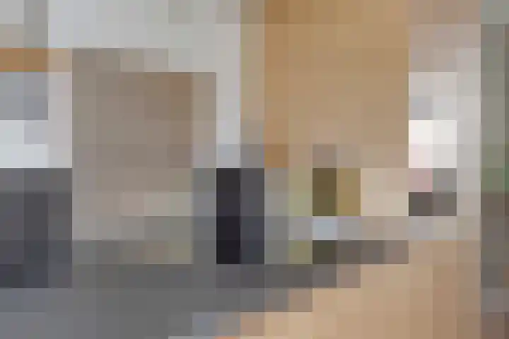 Rubinsteinlaan 33 Eindhoven thumbnail 17