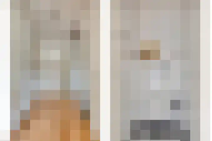 Rubinsteinlaan 33 Eindhoven thumbnail 20