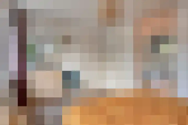 Rubinsteinlaan 33 Eindhoven thumbnail 26