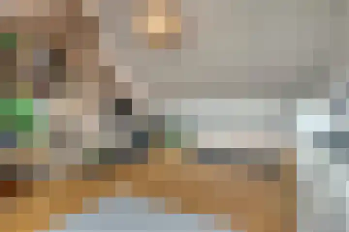 Rubinsteinlaan 33 Eindhoven thumbnail 31